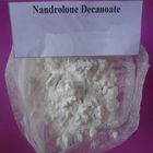 99% anabool Ruw Poeder 360-70-3 van Nandrolone Decanoate Deca Durabolin van het Steroïdenpoeder